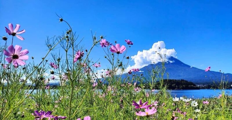Luxury Mt. Fuji Private Tour: Elite Experience - Experience and Insights