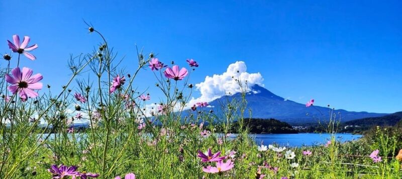 Luxury Mt. Fuji Private Tour: Elite Experience - Inclusions
