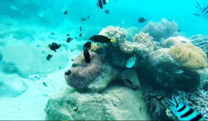 Luxury Nha Trang Island Discovery Trip - Frequently Asked Questions