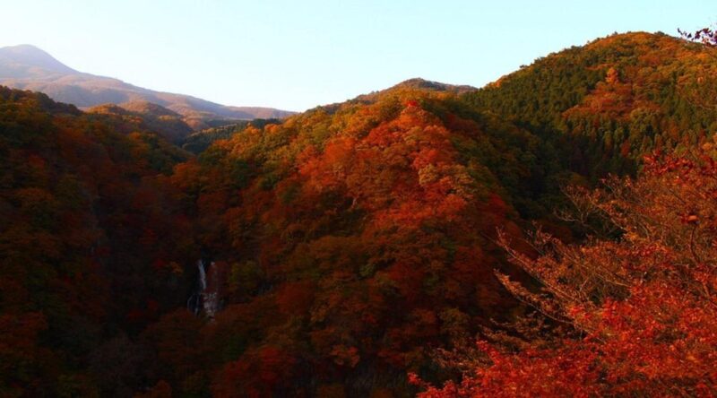 Luxury Nikko Gateway;Private Guided Tour - Important Information