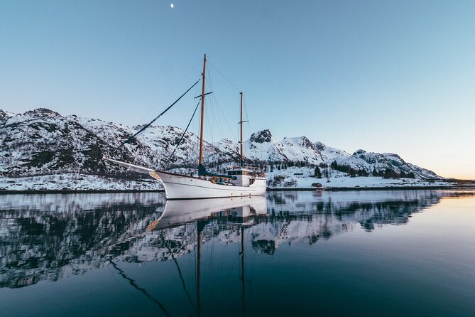 Luxury Northern Lights Cruise With Hot Tub and Dinner - Scenic Views of Vestfjorden