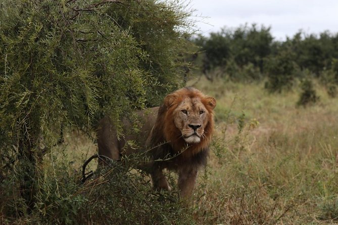 Luxury Okavango Safari - 3 Day - Activities and Itinerary