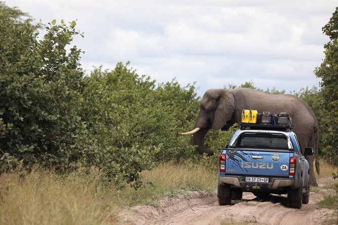 Luxury Okavango Safari - 3 Day - Meeting and Pickup Information