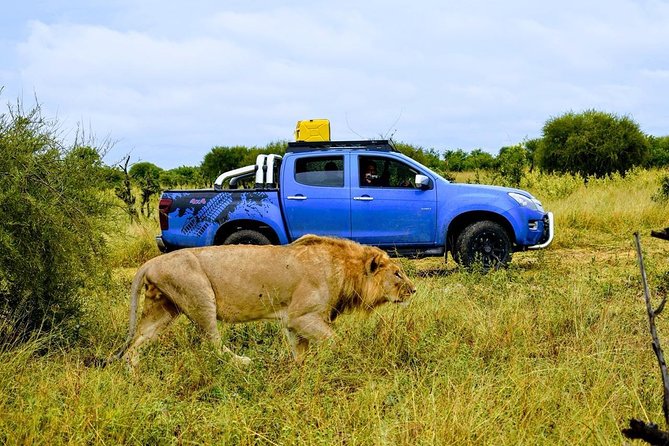 Luxury Okavango Safari - 3 Day - Exploring the Okavango Delta