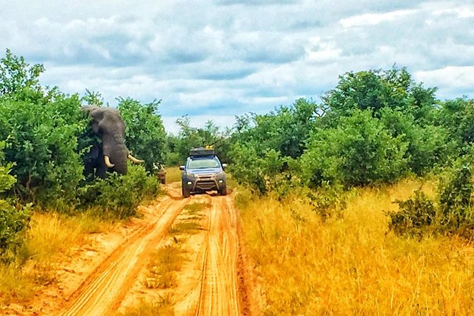 Luxury Okavango Safari - 3 Day - Preparing for the Adventure