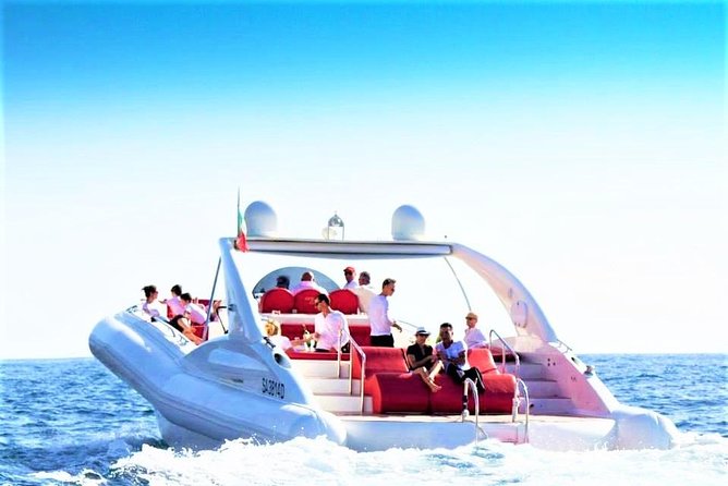 Luxury Opera 60 Whale & Dolphin Watching Experience - Key Points