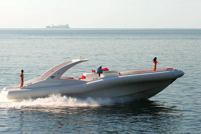 Luxury Opera 60 Whale & Dolphin Watching Experience - Relaxation on Board