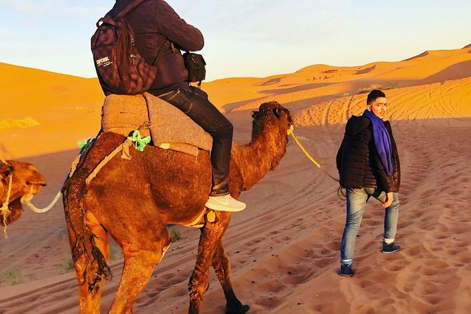 Luxury Overnight Sahara Desert Trip From Fez Back to Fez or Marrakech - Trip Overview