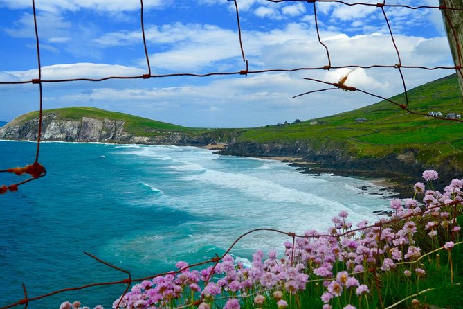 Luxury Photography Day Tour on Dingle Peninsula - Fully Guided and Chauffeured - Accessibility and Suitability