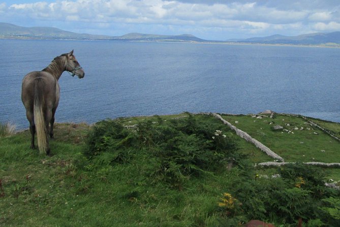 Luxury Photography Day Tour on Ring of Kerry and Skellig Ring - Fully Guided and Chauffeured - Experience Highlights