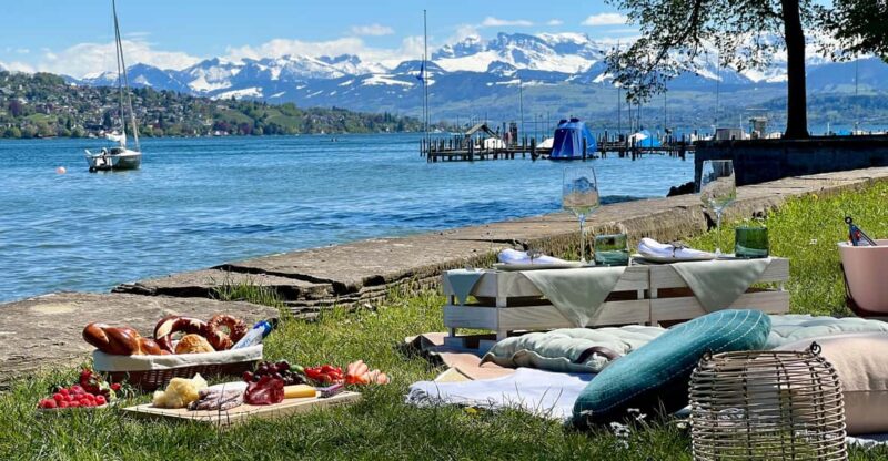 Luxury Picnic by Zurich Lake - Key Points