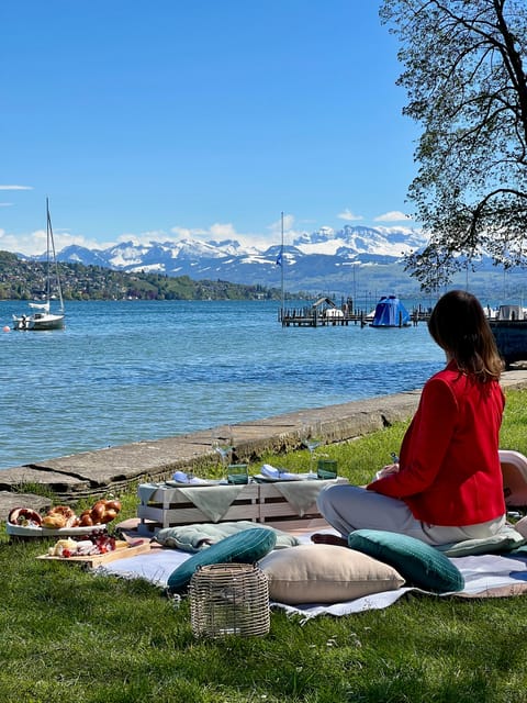 Luxury Picnic by Zurich Lake - Transportation and Accessibility