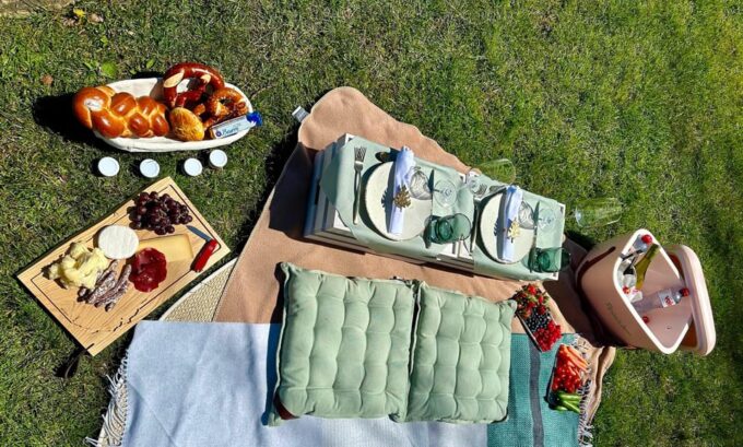 Luxury Picnic by Zurich Lake - Host and Language Support