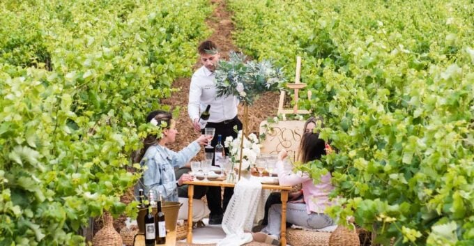 Luxury Picnic Gathering & Wine Tasting at Kerateas Vineyard - Expert-led Guided Tour