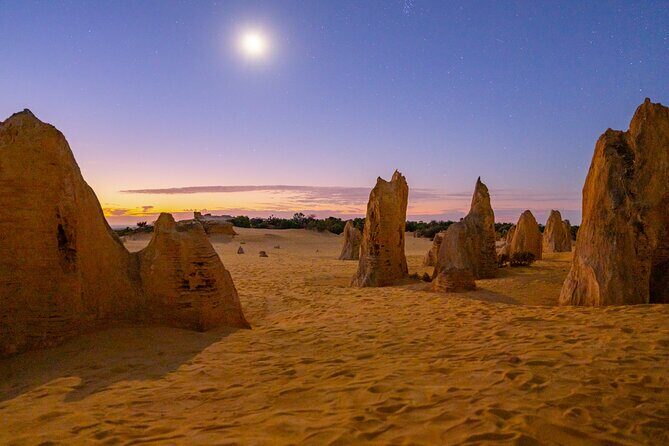Luxury Pinnacles Tour- Private Chauffeur-Tailored Schedule - Introduction: The Allure of a Private, Tailored Day