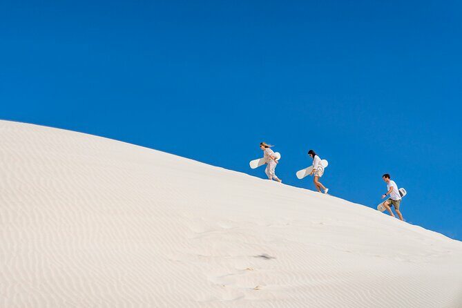 Luxury Pinnacles Tour- Private Chauffeur-Tailored Schedule - Final Thoughts: Who Should Consider This Tour?