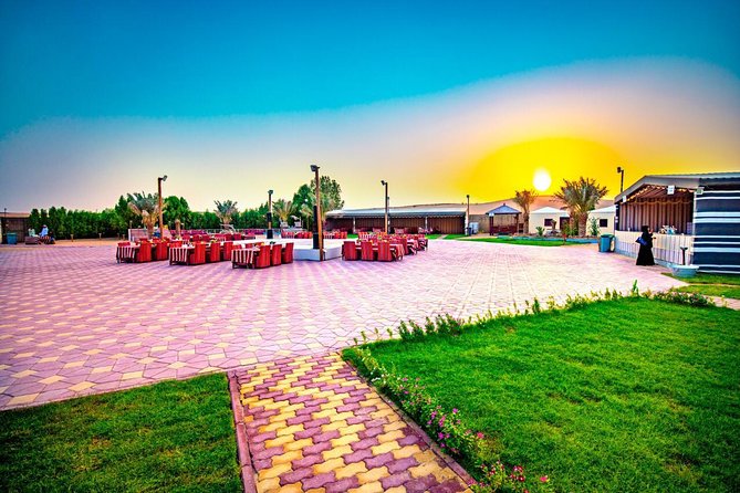 Luxury Premium Desert Safari With 5* Live BBQ Dinner - Just The Basics