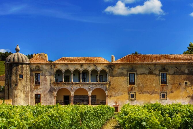 Luxury Private Arrábida Tour and Bacalhoa Palace With Exclusive Wine Taste - Tour Overview