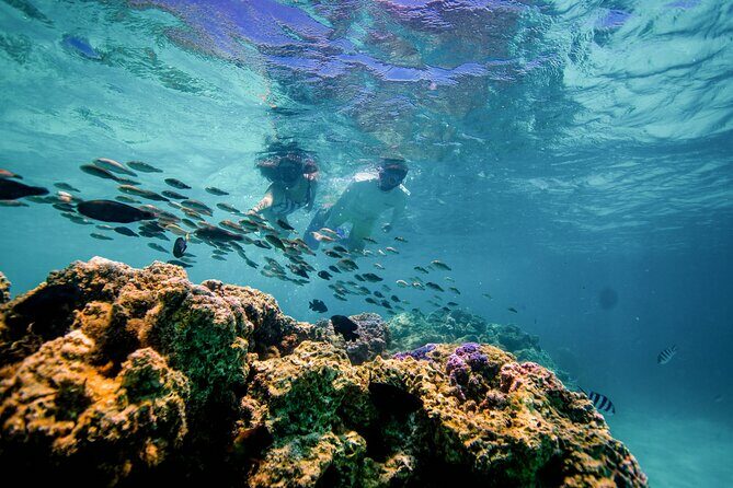 LUXURY PRIVATE Catamaran Bora Bora : Full-Day Trip - Analyzing the Cost and Value