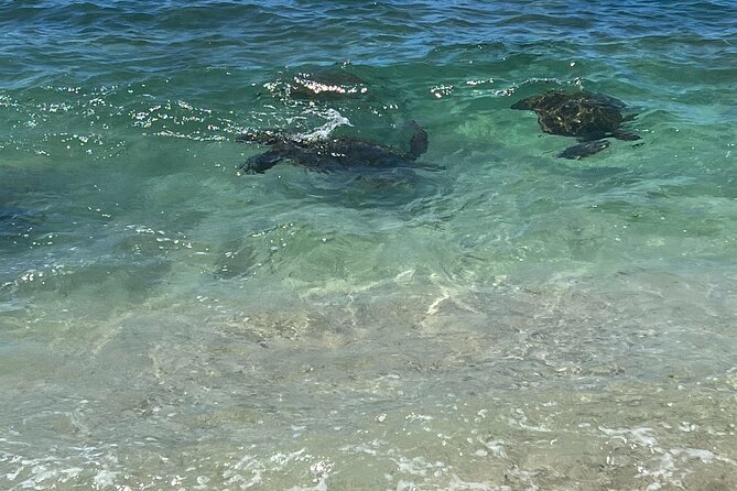 Luxury Private Circle Island Charter Tour - Pickup and Meeting Points