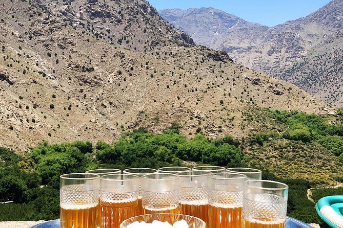 Luxury Private Day Trip - Atlas Mountains, Agafay Desert & Camels - Berber Village and Argan Oil