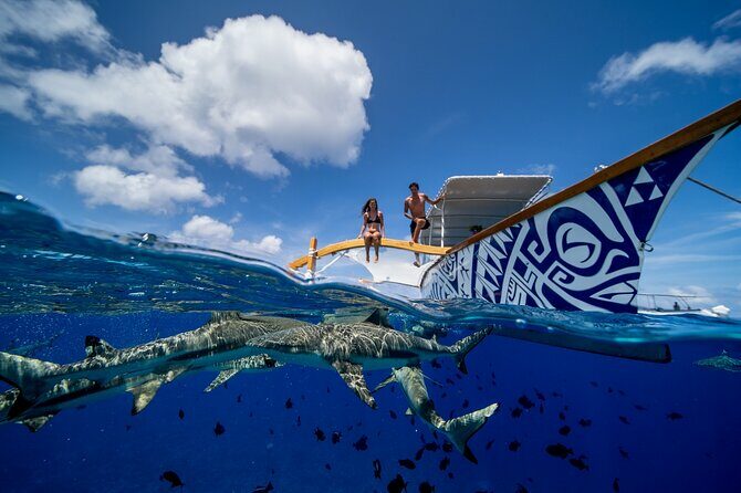 Luxury Private full day tour & Motu lunch in Bora-Bora - What Makes This Tour Stand Out?