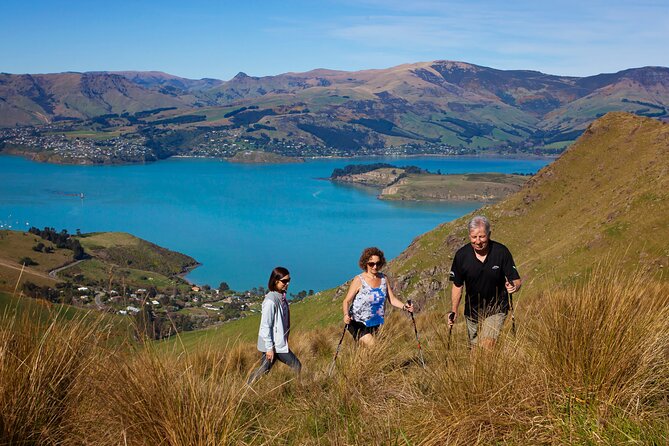 Luxury Private Guided Crater Rim Walk on Banks Peninsula - Explore the Crater Rim