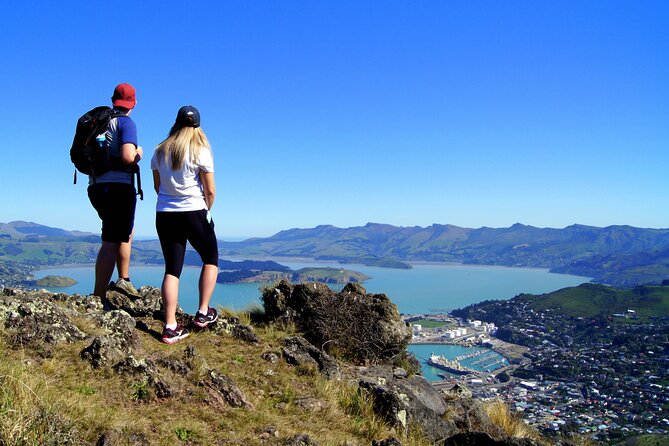 Luxury Private Guided Crater Rim Walk on Banks Peninsula - Experienced Local Guide