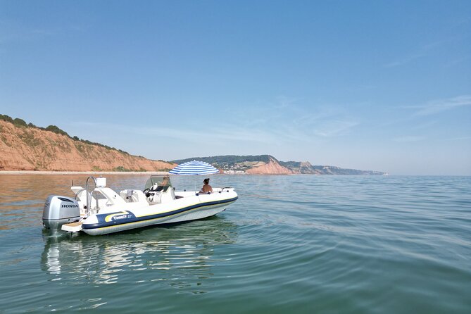 Luxury Private Rib Tour to Babbacombe Bay From Exmouth Marina - Key Points