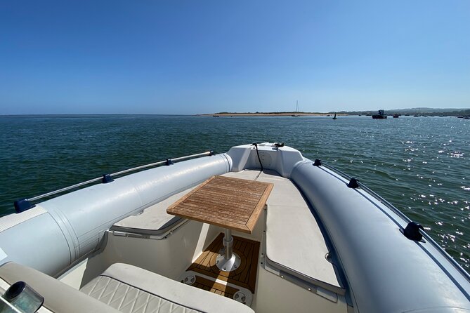 Luxury Private Rib Tour to Babbacombe Bay From Exmouth Marina - Planning Your Tour Logistics