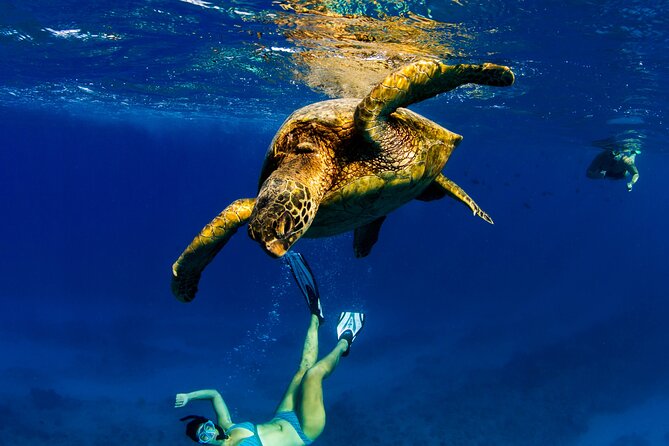 Luxury Private Sailing Catamaran in Waikiki - Pricing and Booking Information