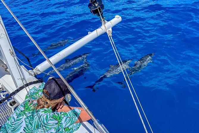 Luxury Private Sailing Catamaran in Waikiki - Nearby Parking Options