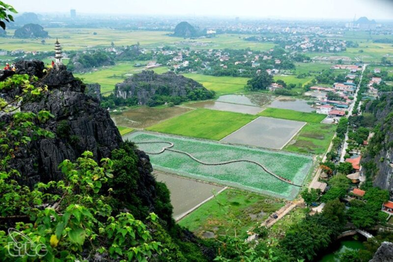 Luxury Private Tour: Ninh Binh 1day: Hoa Lu-Tam Coc-Mua Cave - Hoa Lu Ancient Capital