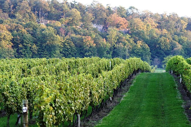 Luxury Private Tour of Niagara Falls From Toronto - Niagara-on-the-Lake