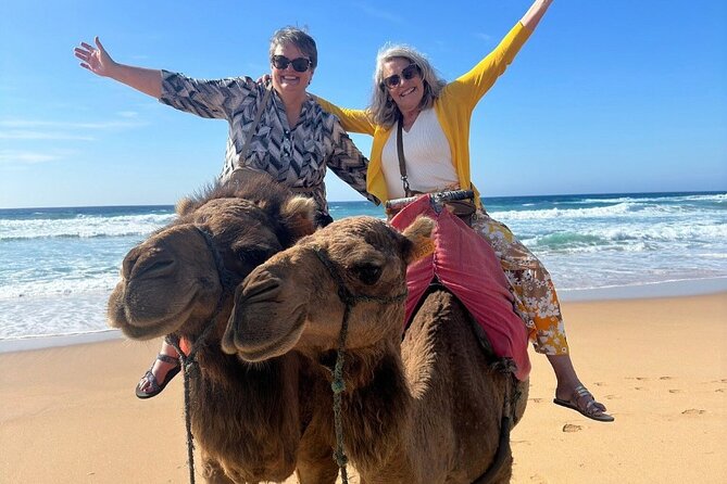 Luxury Private Tour of Tangier From Marbella All Inclusive - Pricing and Booking