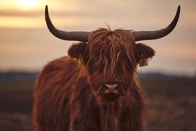 Luxury Private Tour of the Highlands & Loch Ness From Edinburgh - Customization and Personalization