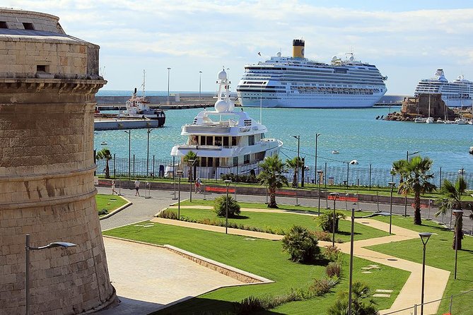 Luxury Private Transfer Civitavecchia Port to Fiumicino Airport - Emergency Contact Information