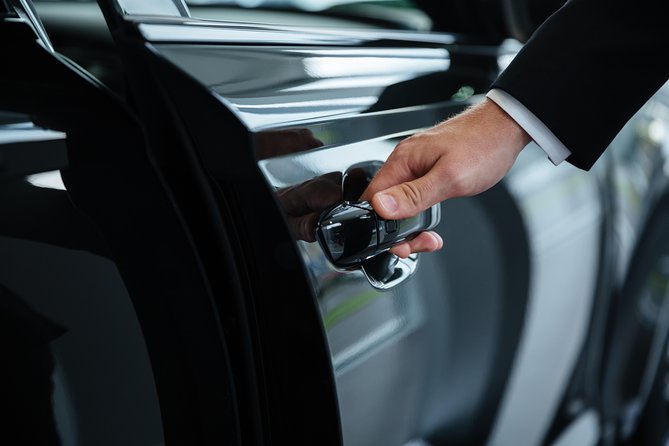 Luxury Private Transfer: Dubrovnik Airport to Dubrovnik - Pricing and Guarantees