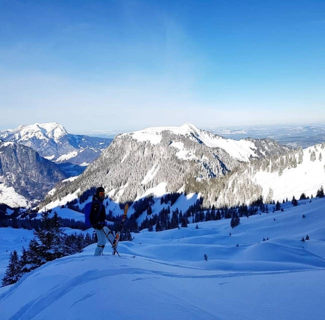 Luxury Private Transfers ZRH to Interlaken in V Class - Included Services