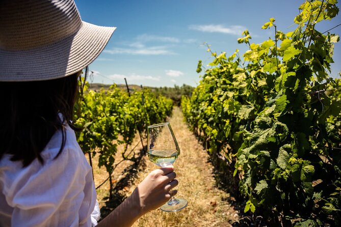 LUXURY PRIVATE Wine Tasting in CRETE (also for CRUISE SHIPS) - Guided Wine Tasting Tour