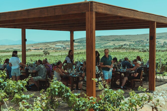 LUXURY PRIVATE Wine Tasting in CRETE (also for CRUISE SHIPS) - Highlights of the Excursion
