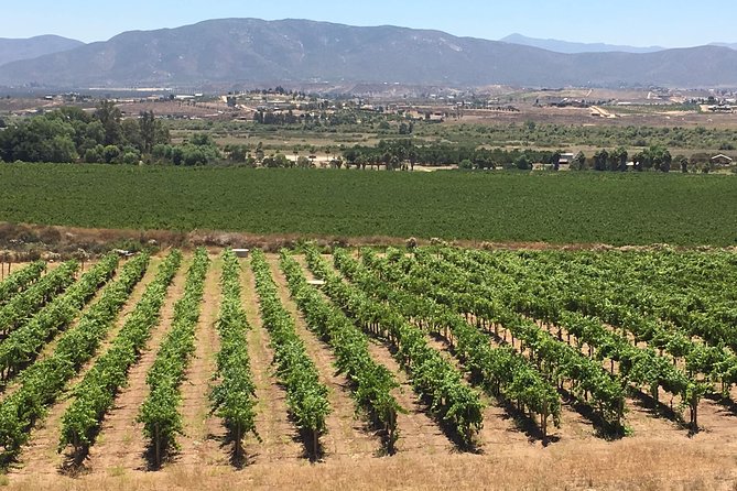 Luxury Private Wine Tasting Tour to Guadalupe Valley From San Diego - Culinary Delights at Finca Altozano