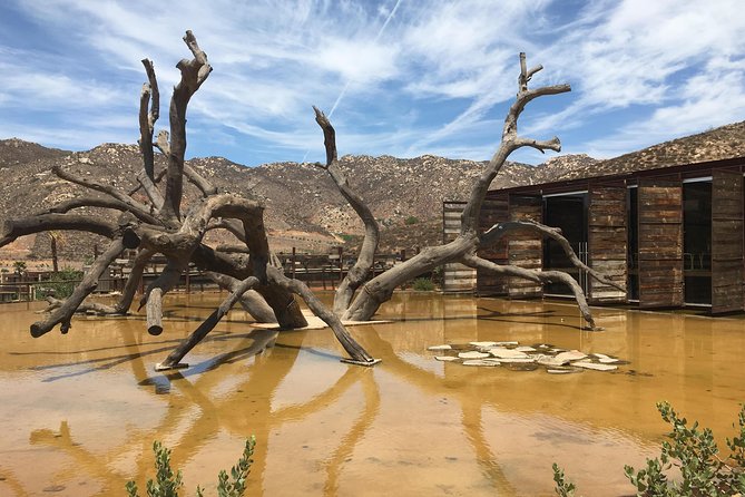 Luxury Private Wine Tasting Tour to Guadalupe Valley From San Diego - Inclusions and Exclusions