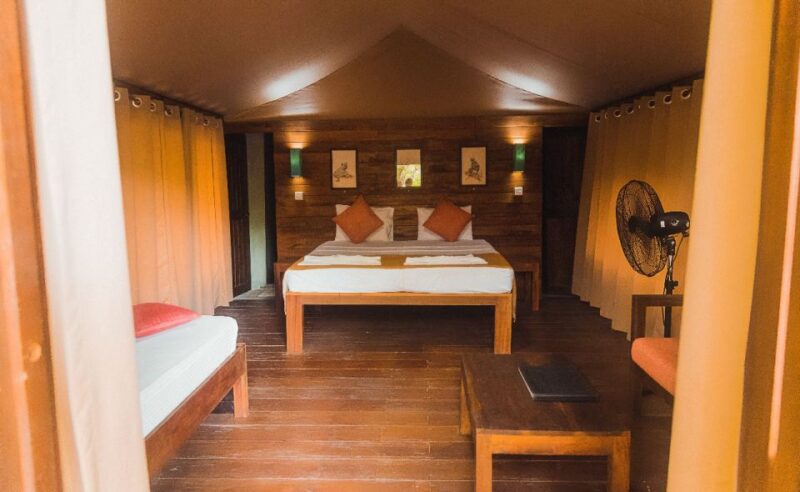 Luxury Safari Camping in Yala - Key Points