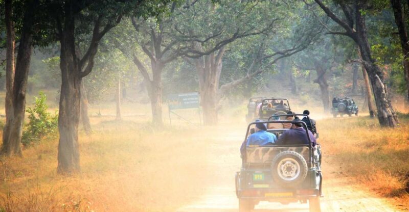 Luxury Safari Camping in Yala - Camping Experience