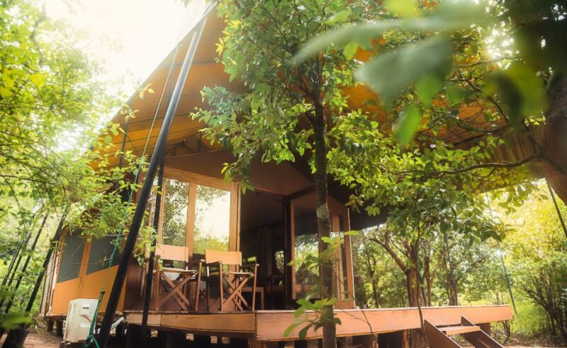 Luxury Safari Camping in Yala - Safari and Wildlife