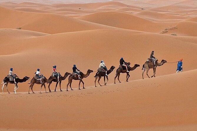 Luxury Sahara Desert From Fez Back to Fez or Marrakech Overnight - Transportation and Accessibility