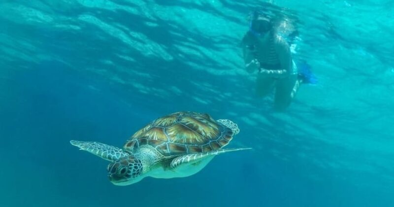 Luxury Sailing and Snorkeling Puerto Aventuras - Key Points