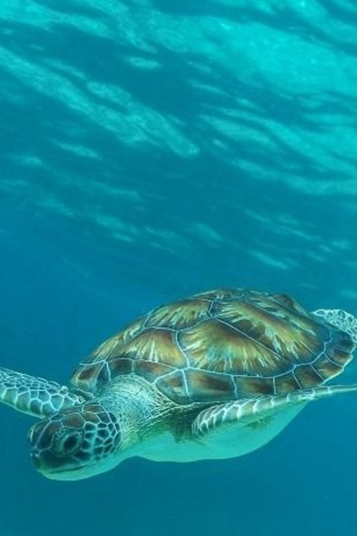Luxury Sailing and Snorkeling Puerto Aventuras - Itinerary and Activities