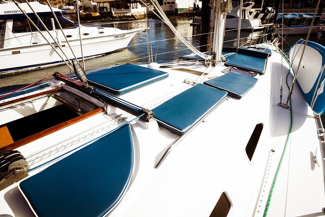 Luxury Sailing Experience in Los Cabos Papillon 2 - Whale Watching and Water Activities